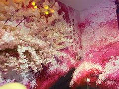 -杭州西湖星空魔幻城(星空艺术馆品牌旗舰店)