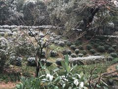 -杭州黄龙洞