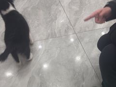 -宠颐生宠物医院·综合诊疗(先锋分院)