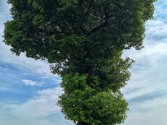 -山明水秀大饭店