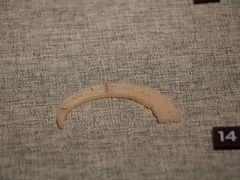 -鸿山遗址博物馆