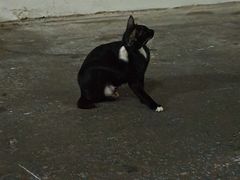 -唐人街(耀华力路)