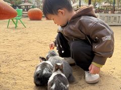 -盈香心动乐园