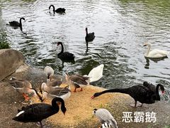 -南宁市动物园