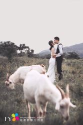 -花漾摄影优选工作室(东莞原创作品店)