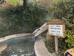 -庐山天沐温泉度假村