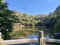 -水濂山森林公园