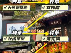 -春熙路步行街