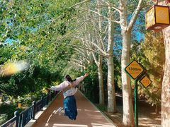 -党河风情线国家水利风景区