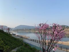 -朝阳正码头
