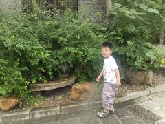 -爱新觉罗皇家博物院
