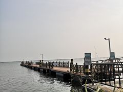 -莲花岛景区