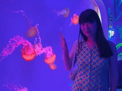 -芜湖新华联大白鲸海洋公园