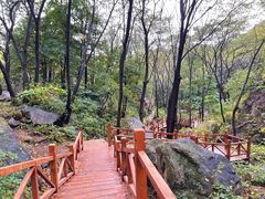 -大岭沟猕猴桃谷风景区