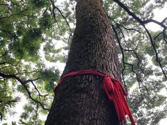-道教老君洞