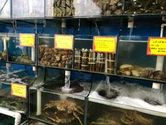 水产区-蚝专家(北滘店)
