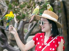 -西霞口神雕山野生动物世界