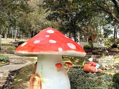 -沂蒙山旅游区云蒙景区(蒙山国家森林公园)