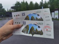 -黄海国家森林公园