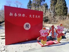 -北京植物园-展览温室