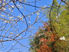 -鸡枕山