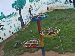 -西霞口神雕山野生动物世界