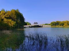 -东湖落雁景区