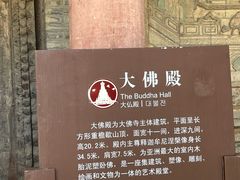 -张掖大佛寺景区