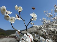 -原乡小镇度假乐园