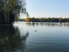 -洛阳市隋唐城遗址植物园