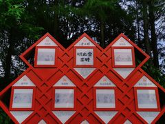 -陈家山荷花公园