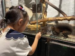 -Zoolung Zoolung动物主题公园(海信广场店)