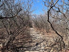 -北京西山国家森林公园