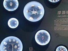 -中国湿地博物馆