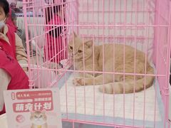 -开元商城(西旺店)