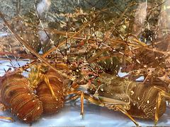 -快乐海鲜城(虎泉街店)