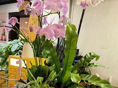 -佛有缘素食馆·荔湾老字号(陈家祠首店)