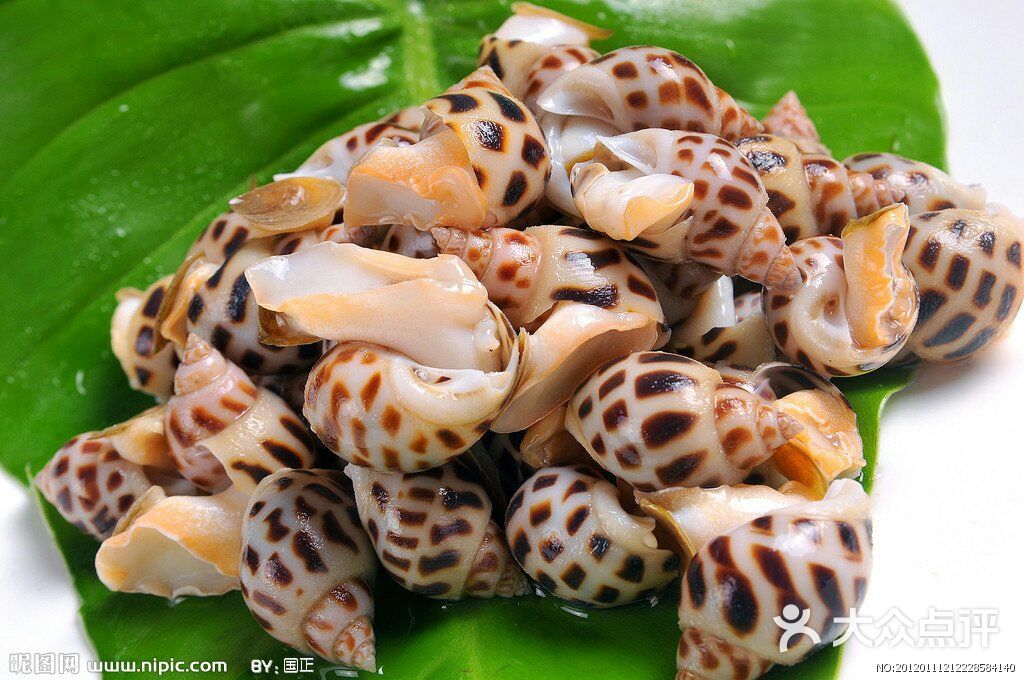 境海蒸汽海鲜(虹口店)花螺图片 - 第2张