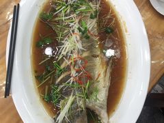 -渔家小院观海海肠捞饭地方菜(环海中路店)