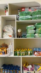 -鱼乐贝贝婴幼儿亲子水育(幸福街店)