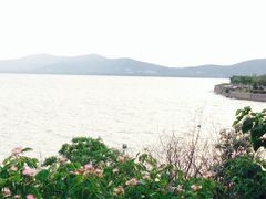-上海市保健医疗中心(华东疗养院)