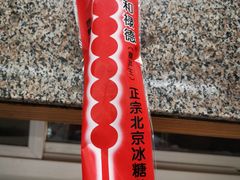 -和禄德冰糖葫芦