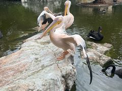-昆明动物园