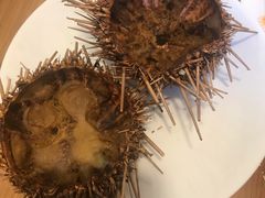 -海胆小馆(东北水饺·春柳店)