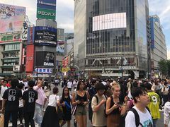 -涩谷全向十字路口