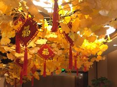 -同乐馆(阳光店)