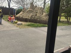 -泗洪洪泽湖湿地景区