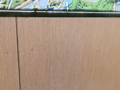 -桂满陇·蟹黄小笼汤包(清河万象店)