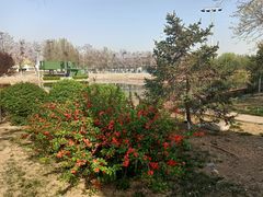 -万源龙顺度假庄园生态观光园