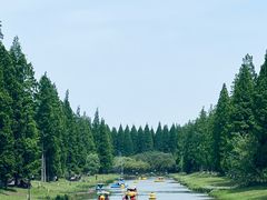 -黄海国家森林公园